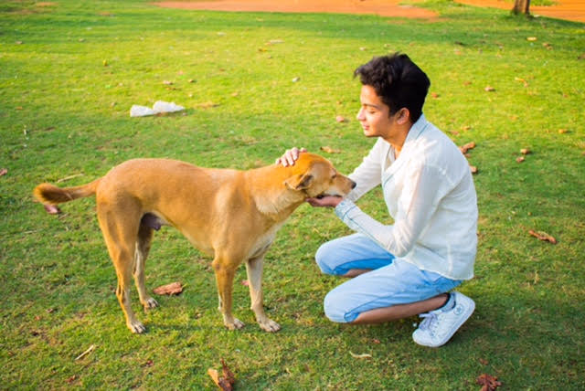  Youngest Animal Rights Activist Md. Zabi Khan Rescues Over 500 Animals, Rehomes 3000+