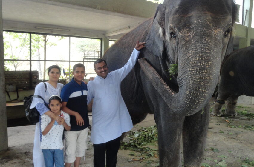  Pandit Prasad Joshi Adopts Elephant to Support Animal Conservation in Pune