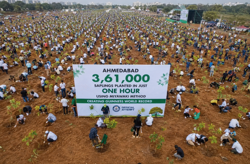  Ahmedabad Creates Guinness World Record by Planting 3.61 Lakh Saplings in Just One Hour