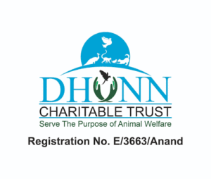 Dhunn Charitable Trust Sets World Record with Smallest Indigenous Cross-Bred Calf