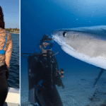Marine Biologist Sets World Record with Shark Tattoos Honouring Every Species She Encounters