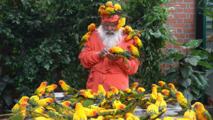Shukavana Aviary Sets World Record with Most Bird Species in an Aviary
